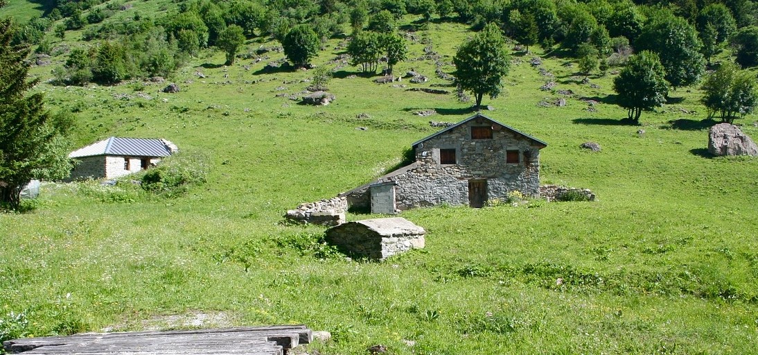 Media Image